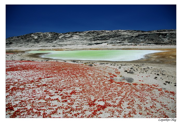 photo "Small saline soil" tags: landscape, travel, Africa