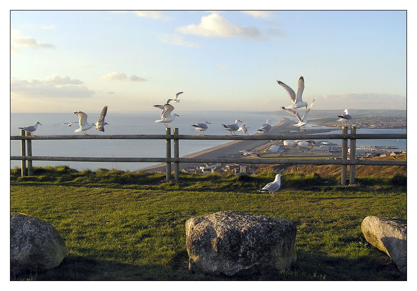 photo "A meeting on a decline of day." tags: landscape, travel, Europe