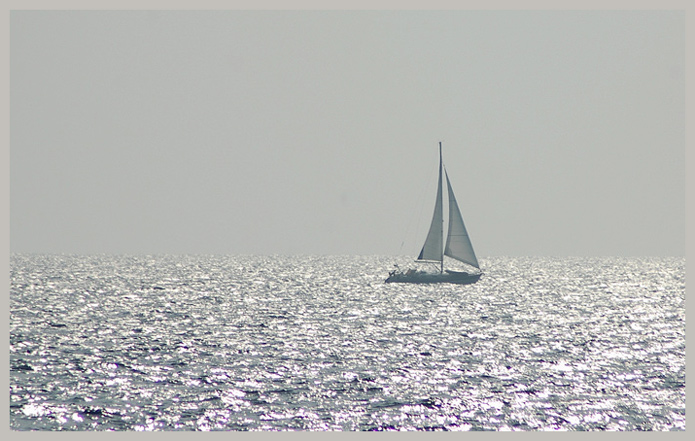 фото "Silver silence" метки: пейзаж, весна, вода