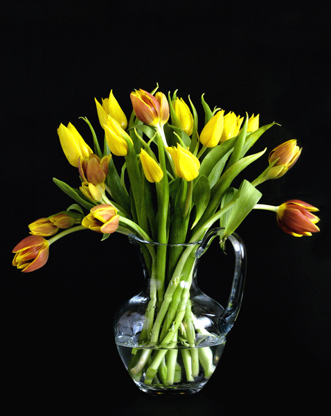 photo "" Flowers for the ladies"" tags: still life, 