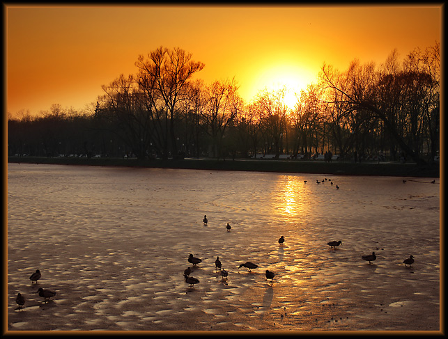 photo "***" tags: landscape, spring