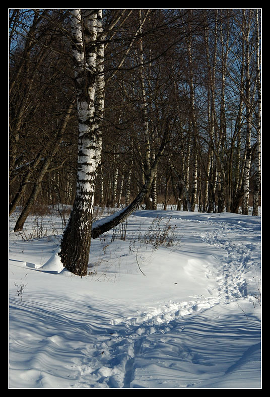 photo "***" tags: landscape, nature, winter