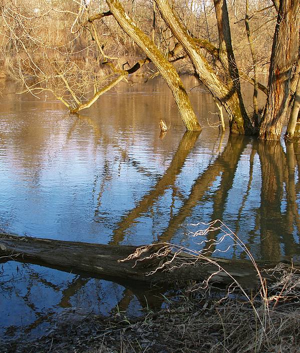 фото "Мартовский ветерок" метки: пейзаж, весна, вода