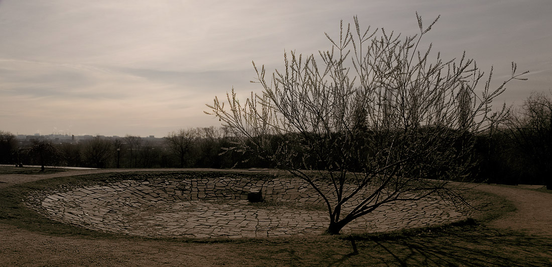 фото "And tree grow on stone" метки: , 