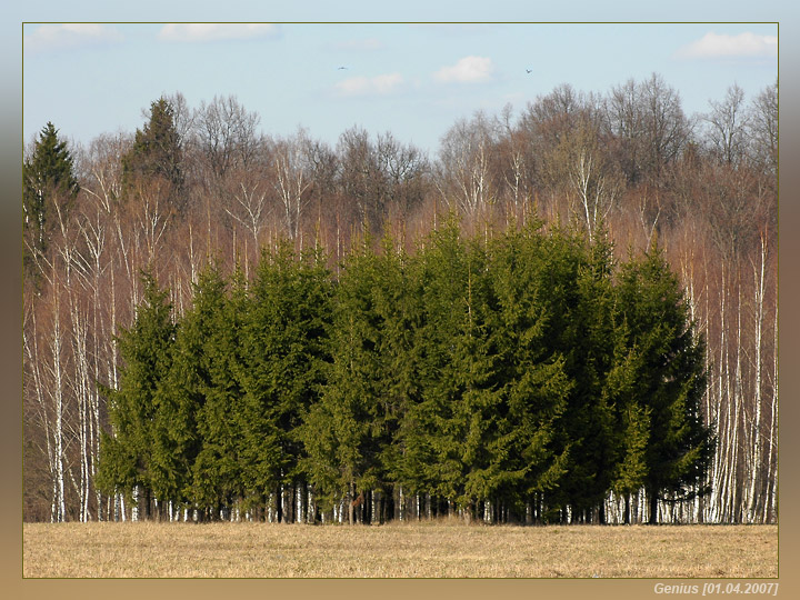 photo "***" tags: landscape, forest