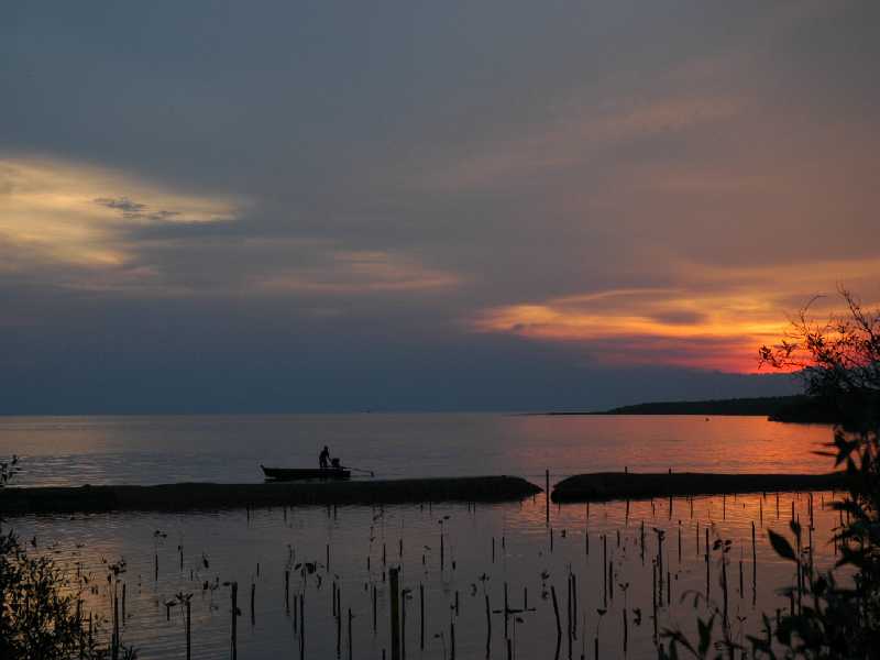 photo "boat and mangrove" tags: landscape, sunset