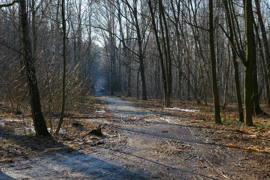 photo "Season of soggy roads" tags: landscape, nature, spring