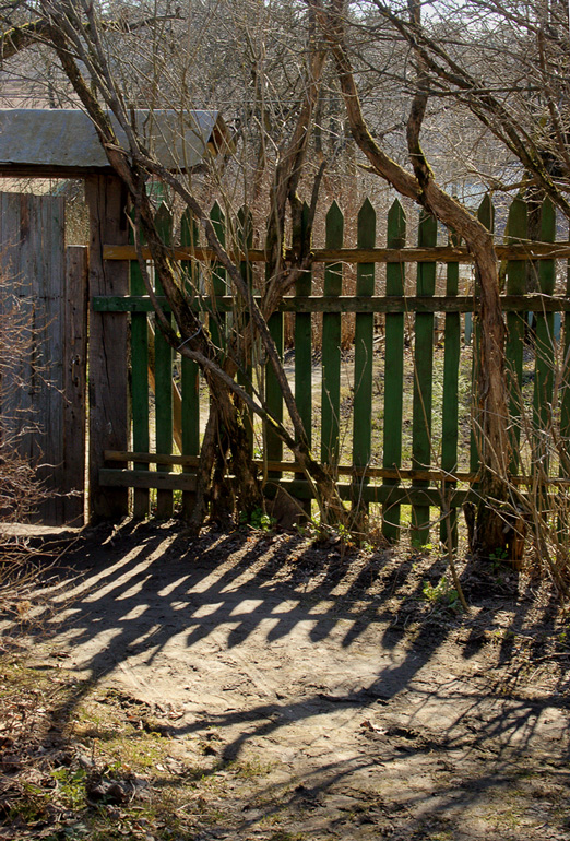 photo "In village street" tags: landscape, spring