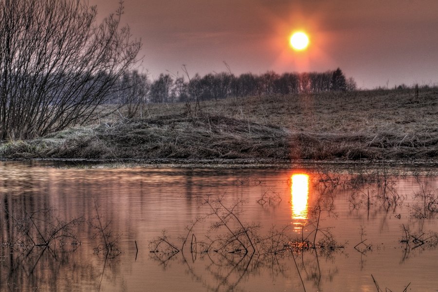 фото "На ближайшей к даче луже." метки: пейзаж, вода, закат