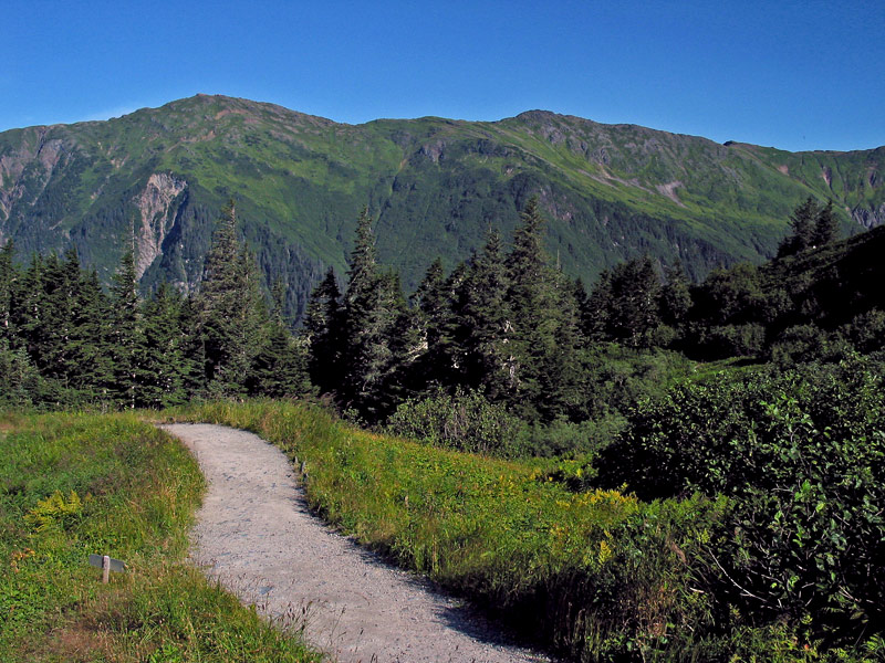 photo "Ascending Mountain Path" tags: nature, 