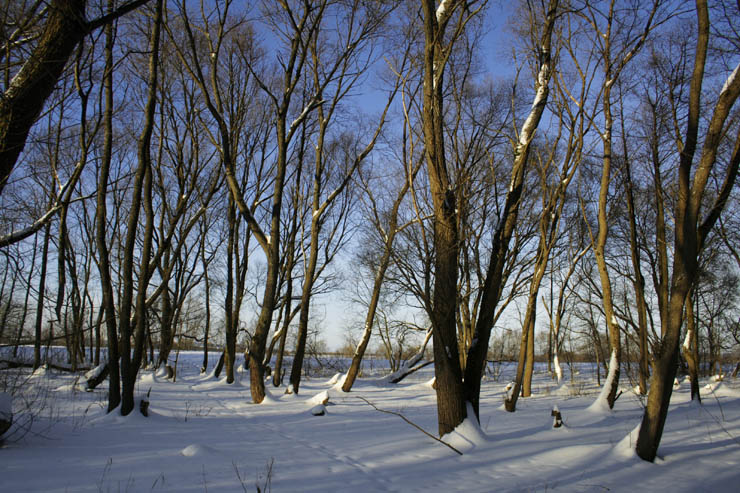 фото "#" метки: пейзаж, зима