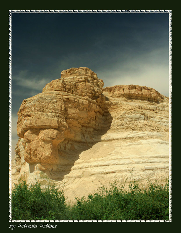 photo "The Camel" tags: landscape, 