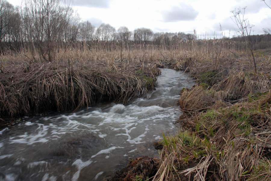 photo "Spring water" tags: landscape, spring