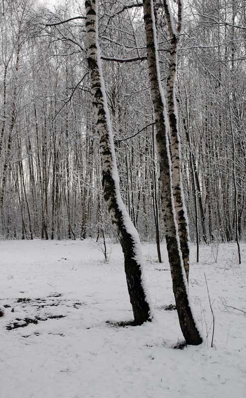 фото "***" метки: пейзаж, весна