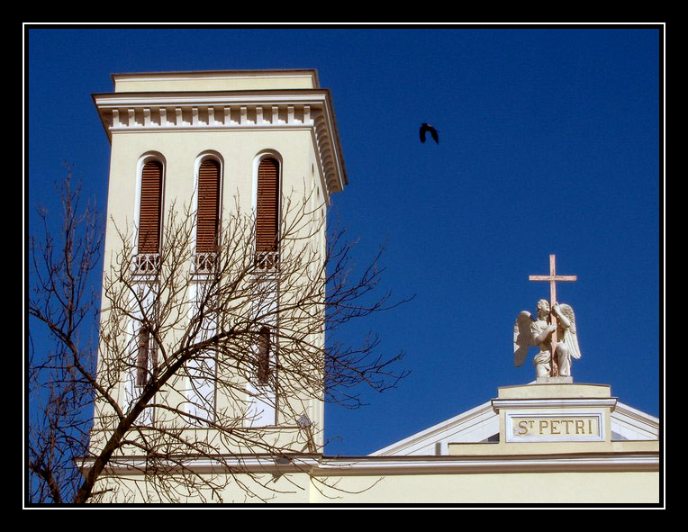 photo "St.Petri" tags: architecture, landscape, 