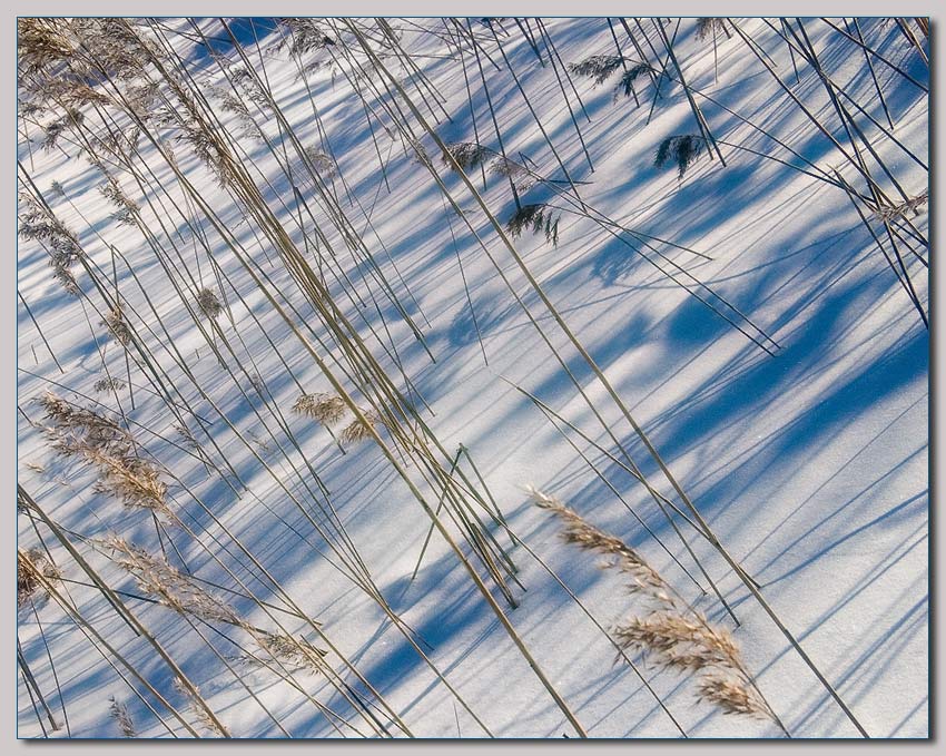 photo "Shade Pattern" tags: landscape, winter