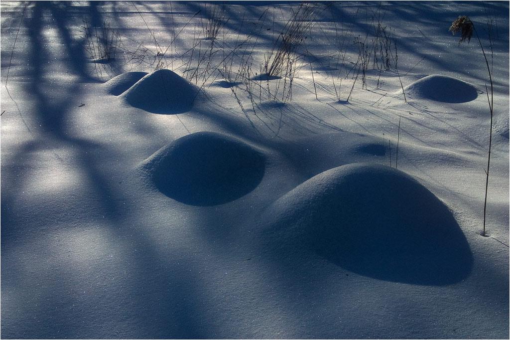 фото "Low Sun" метки: пейзаж, зима