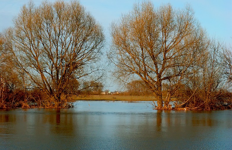 photo "Strait" tags: landscape, spring, water