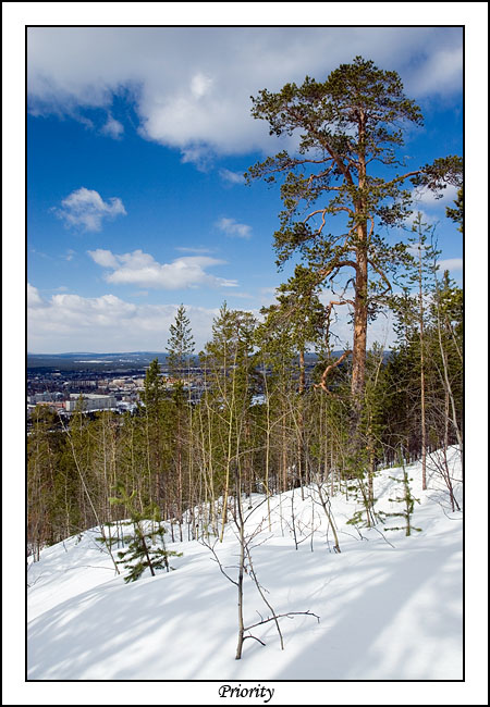 photo "***" tags: landscape, winter