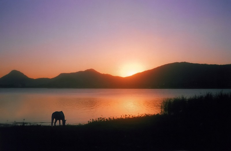 photo "Silent Silhouettes" tags: landscape, sunset, water