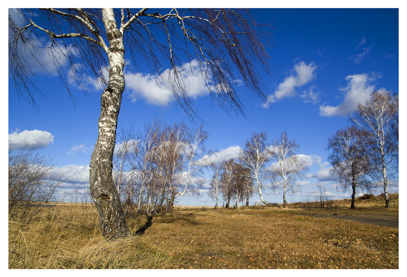 фото "Осенний ветер" метки: пейзаж, осень