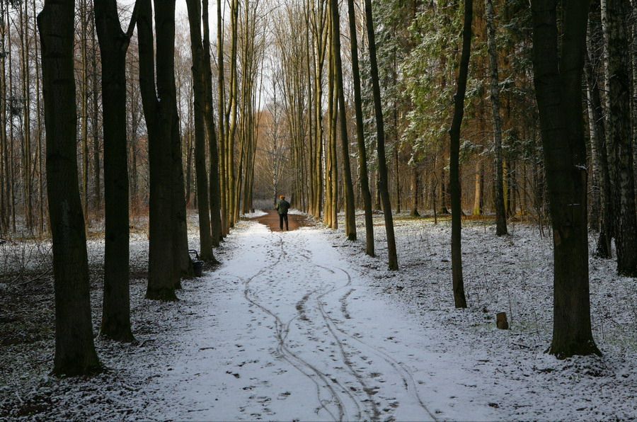 photo "***" tags: landscape, nature, winter