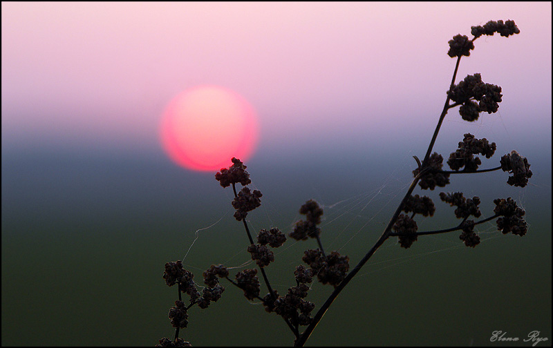 photo "***" tags: landscape, sunset