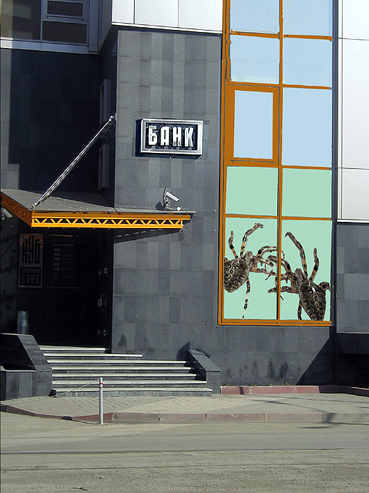 photo "Spiders in bank" tags: humor, 