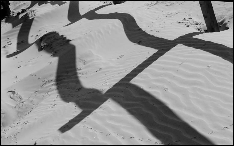 photo "Sand  Fence." tags: misc., black&white, 