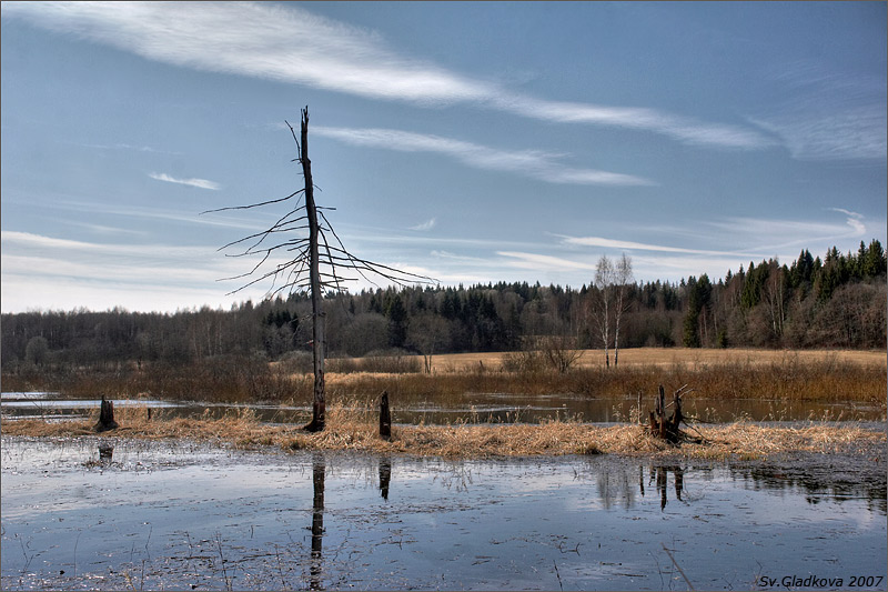 photo "***" tags: landscape, spring