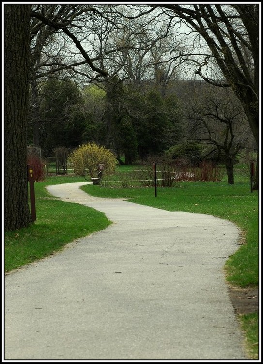 photo "Pathway to Spring" tags: landscape, spring