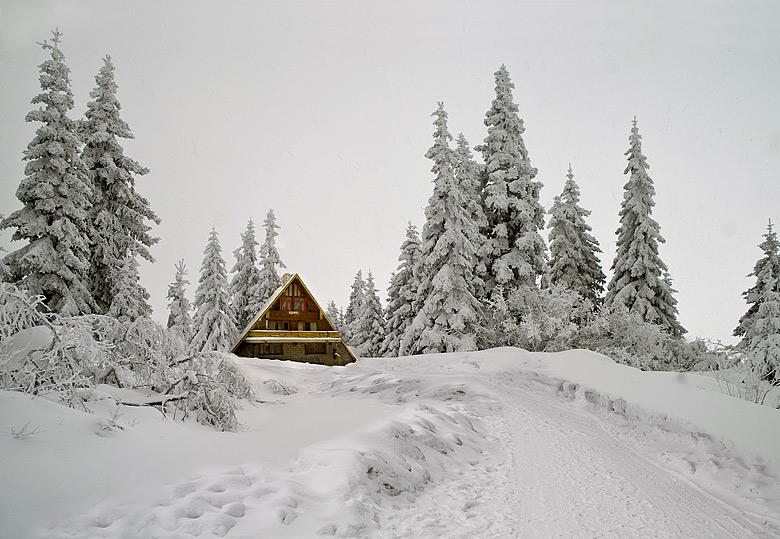 фото "Романтика в белом" метки: пейзаж, зима