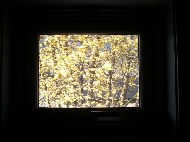 photo "***" tags: , 