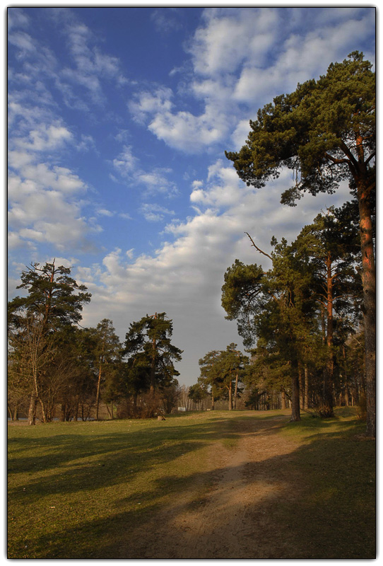 photo "***" tags: landscape, forest