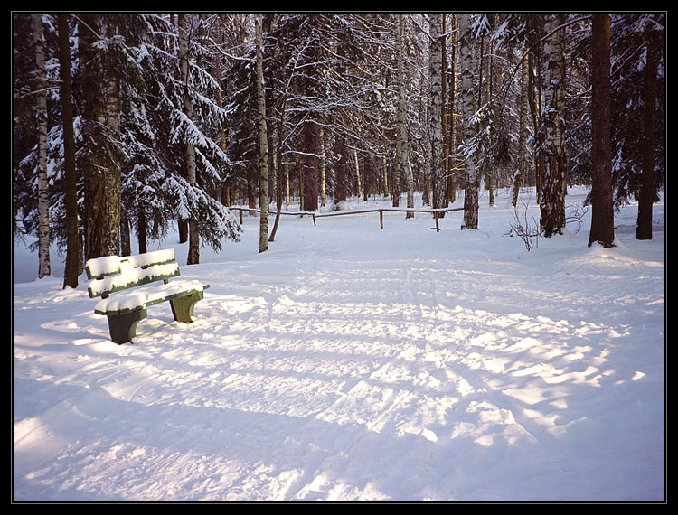 photo "***" tags: landscape, forest, winter