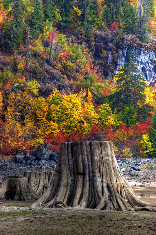 фото "The Beast and the Beauty" метки: пейзаж, вода, осень