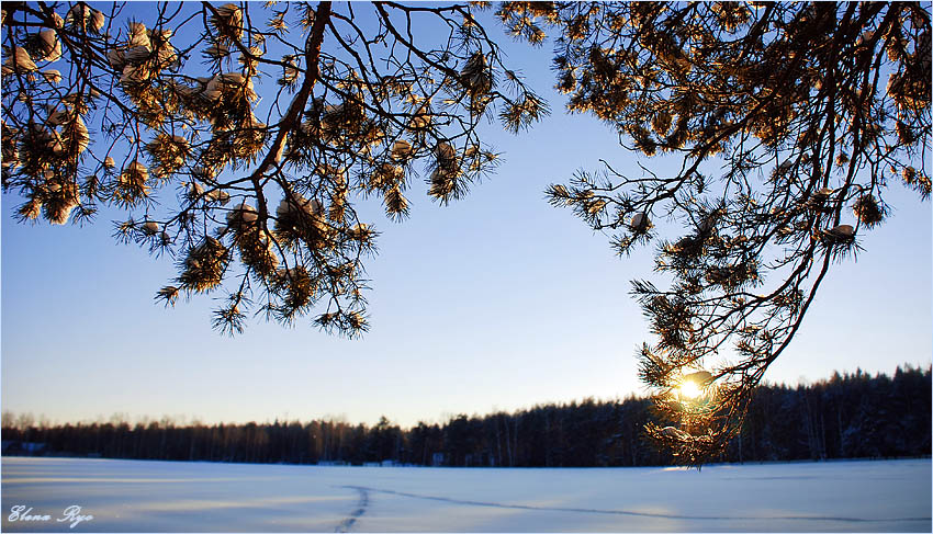 photo "***" tags: landscape, sunset, winter