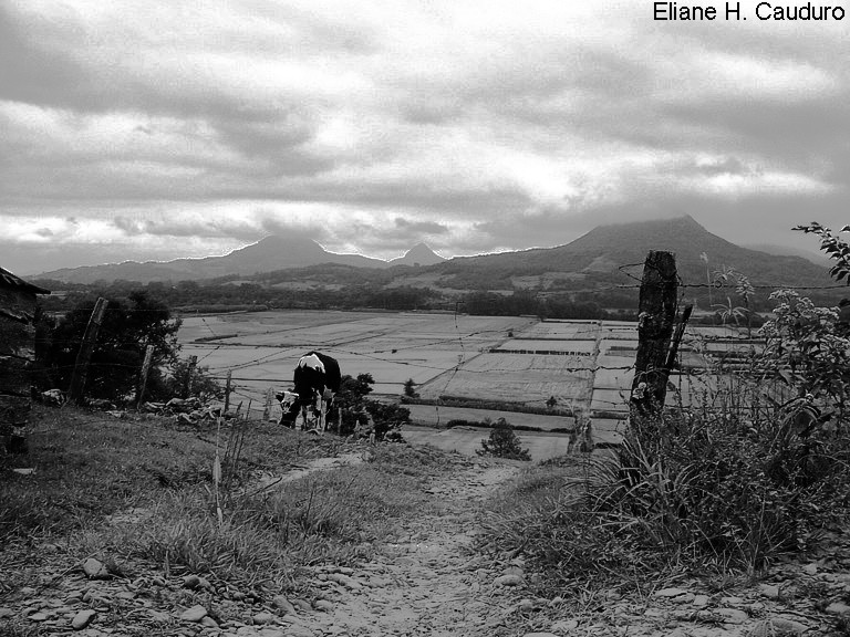 photo "***" tags: landscape, black&white, mountains