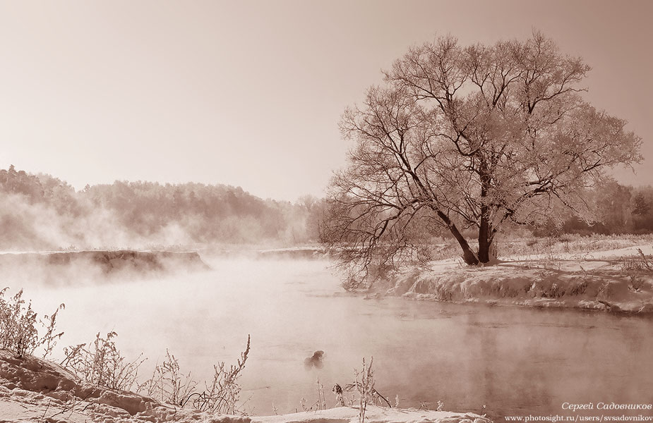 photo "****" tags: black&white, landscape, winter