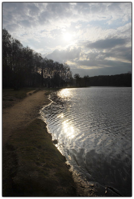 photo "***" tags: landscape, forest