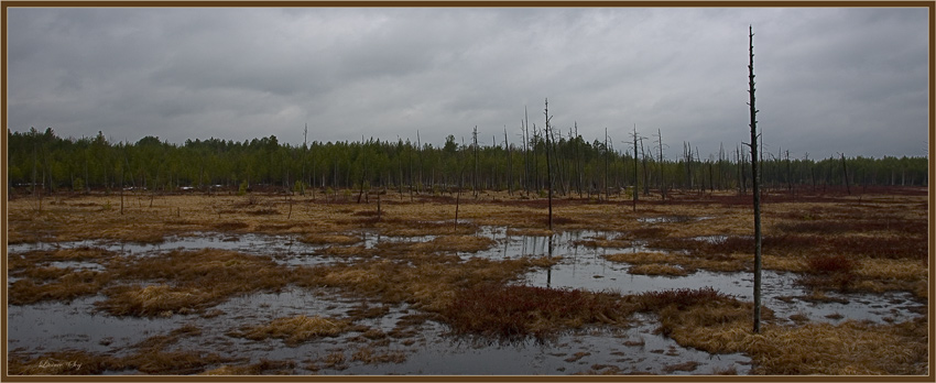 photo "***" tags: landscape, spring