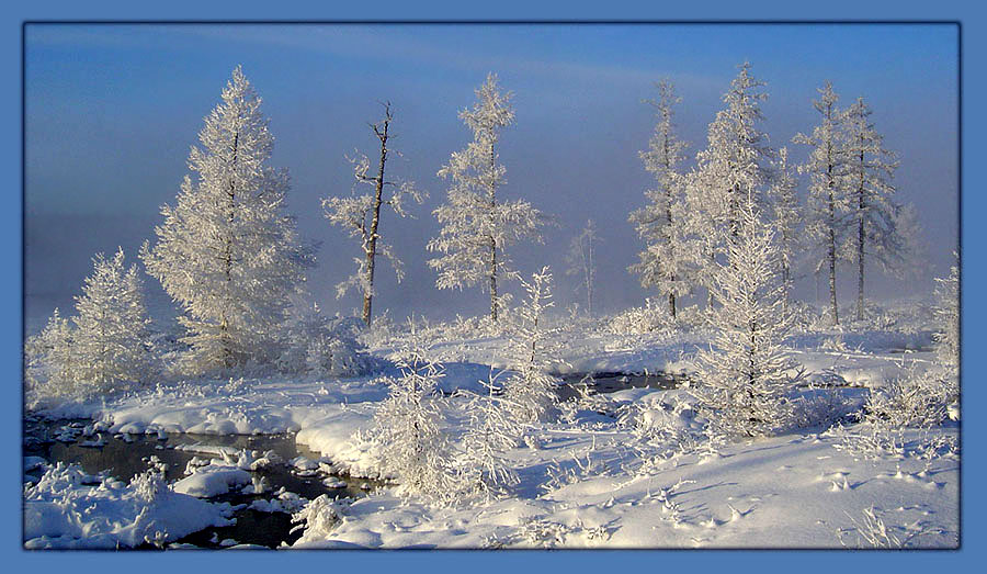 photo "***" tags: landscape, forest, winter