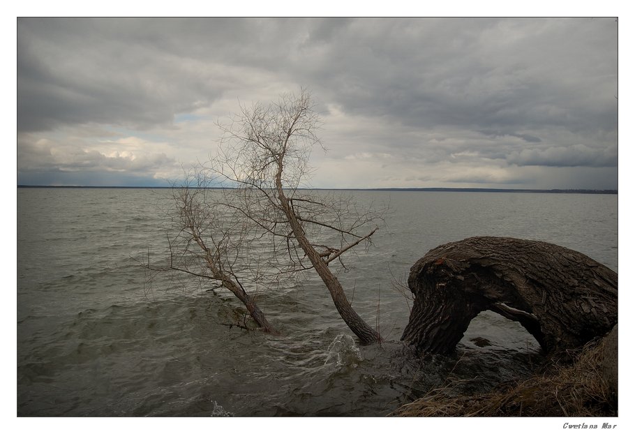 фото "Плещеево озеро" метки: пейзаж, вода