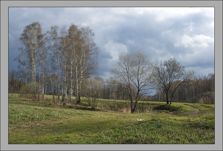 photo "April sketches. The road." tags: landscape, forest, spring