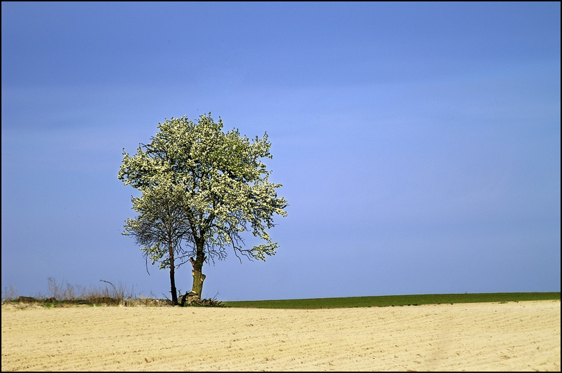 photo "***" tags: landscape, spring