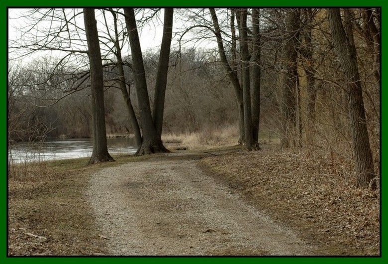 photo "The Driveway" tags: landscape, forest, water