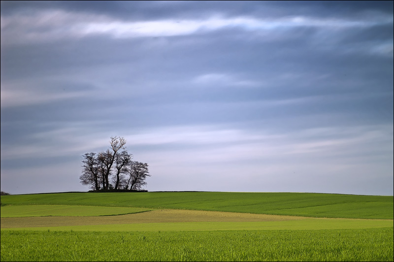 photo "***" tags: landscape, spring