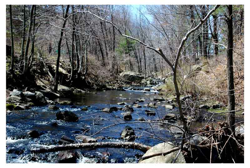 photo "***" tags: landscape, forest, water