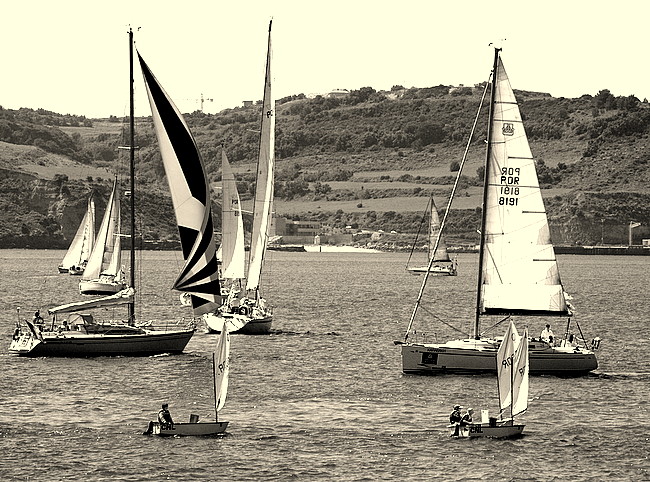 photo "A Boat Race." tags: nature, 