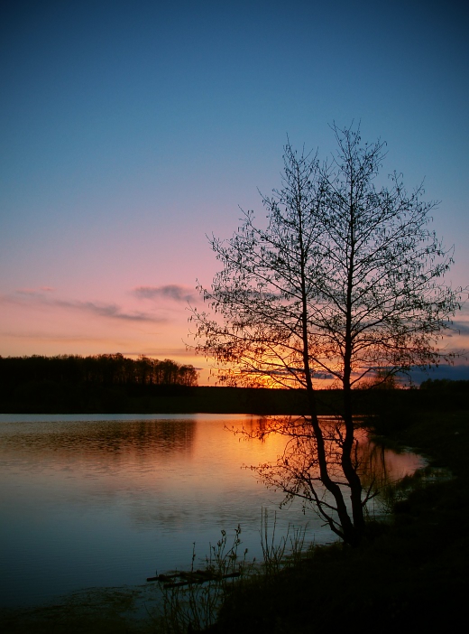 photo "***" tags: landscape, spring